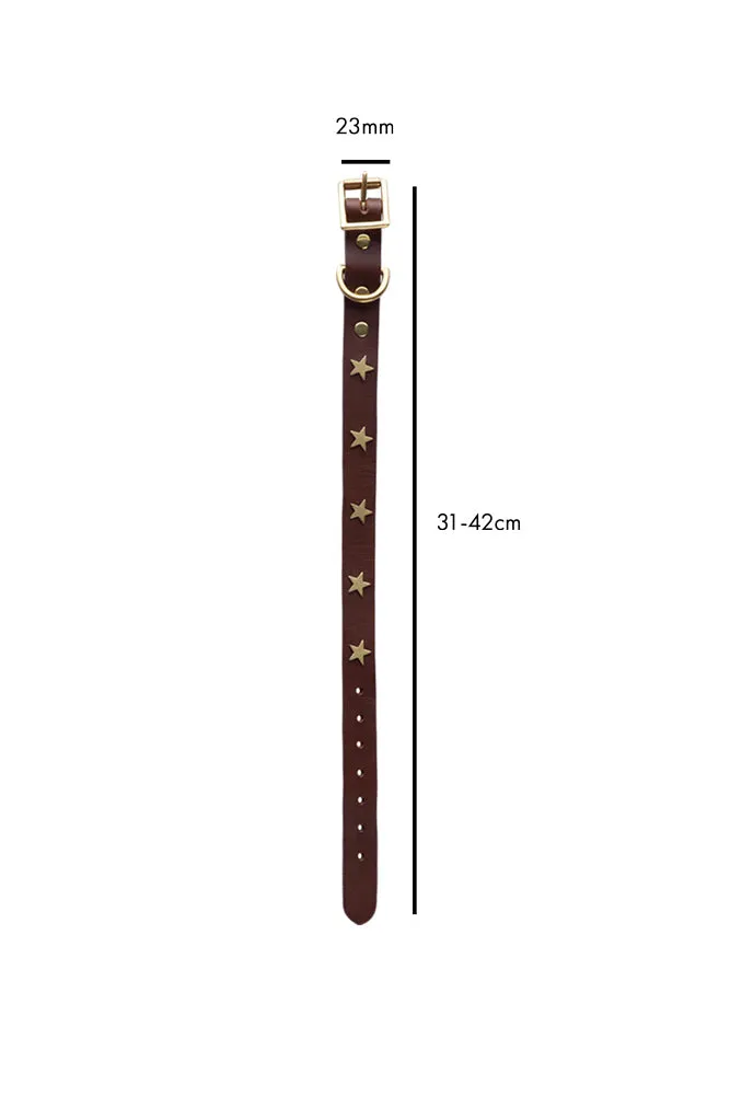 Brown Leather Dog Collar With Stars - 5 Available Sizes