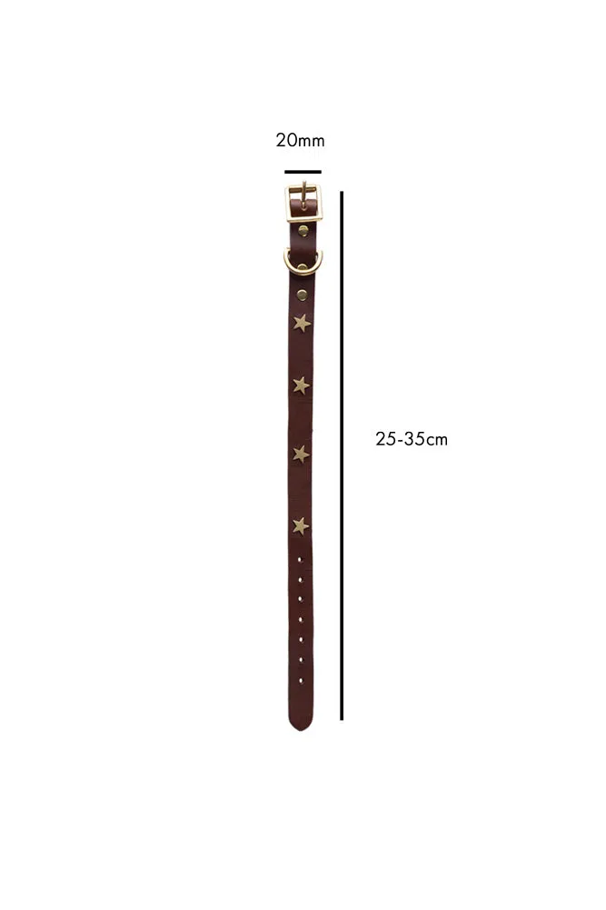 Brown Leather Dog Collar With Stars - 5 Available Sizes