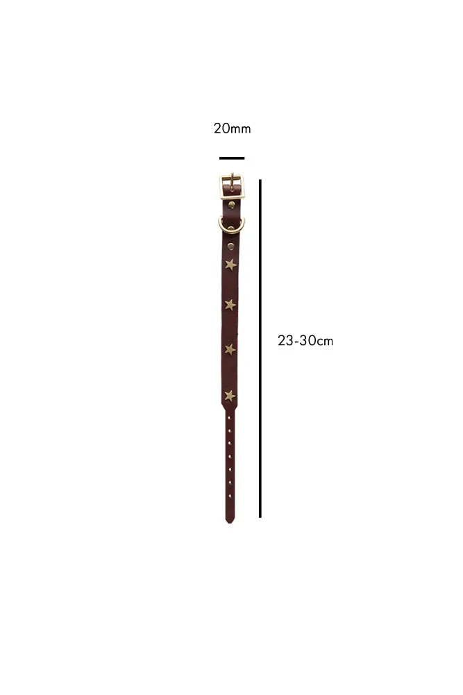 Brown Leather Dog Collar With Stars - 5 Available Sizes