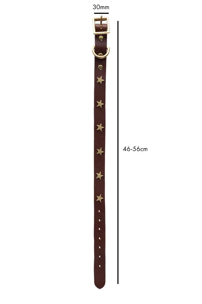 Brown Leather Dog Collar With Stars - 5 Available Sizes
