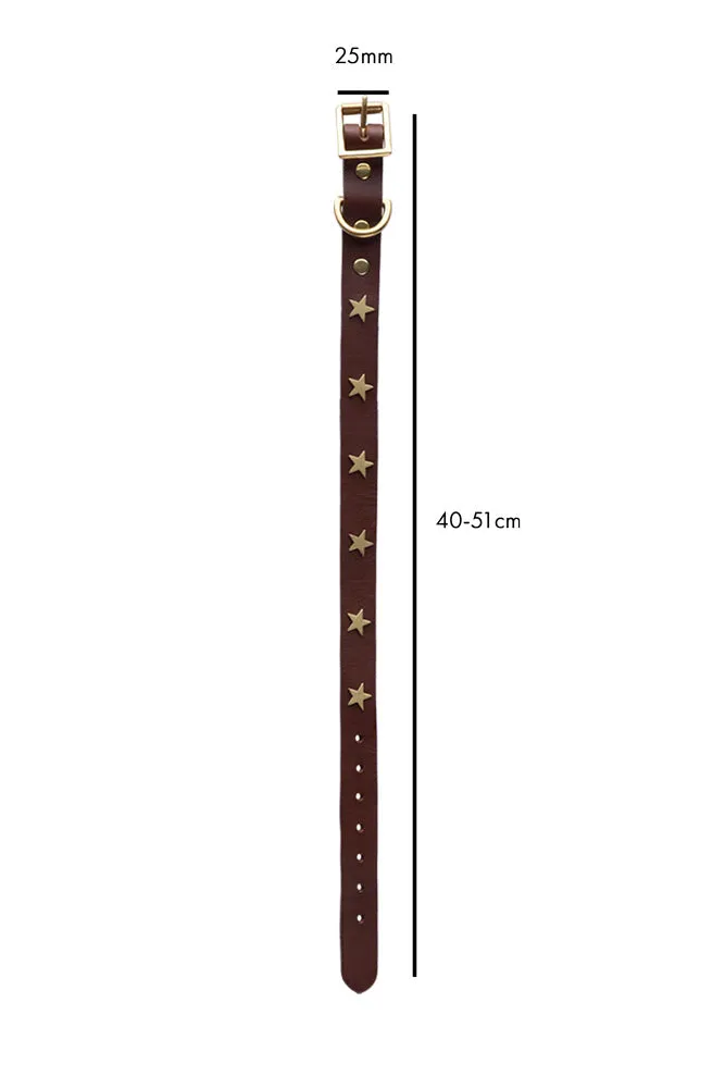 Brown Leather Dog Collar With Stars - 5 Available Sizes