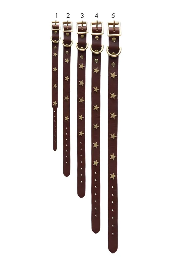 Brown Leather Dog Collar With Stars - 5 Available Sizes