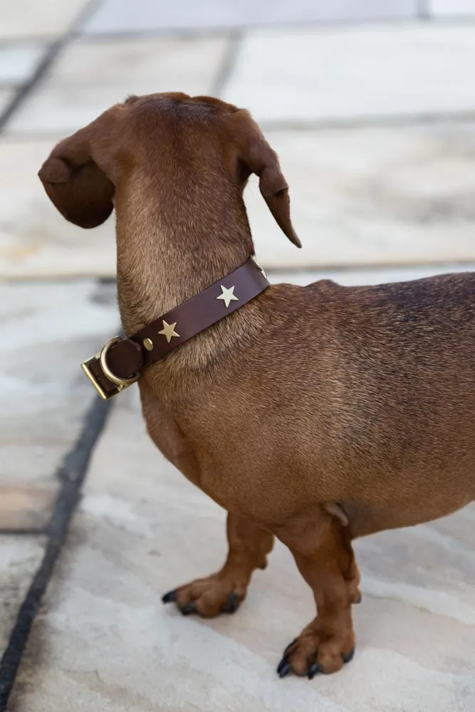 Brown Leather Dog Collar With Stars - 5 Available Sizes