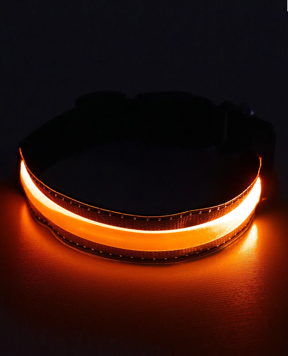 LED COLLAR - FUTURE LOVERS