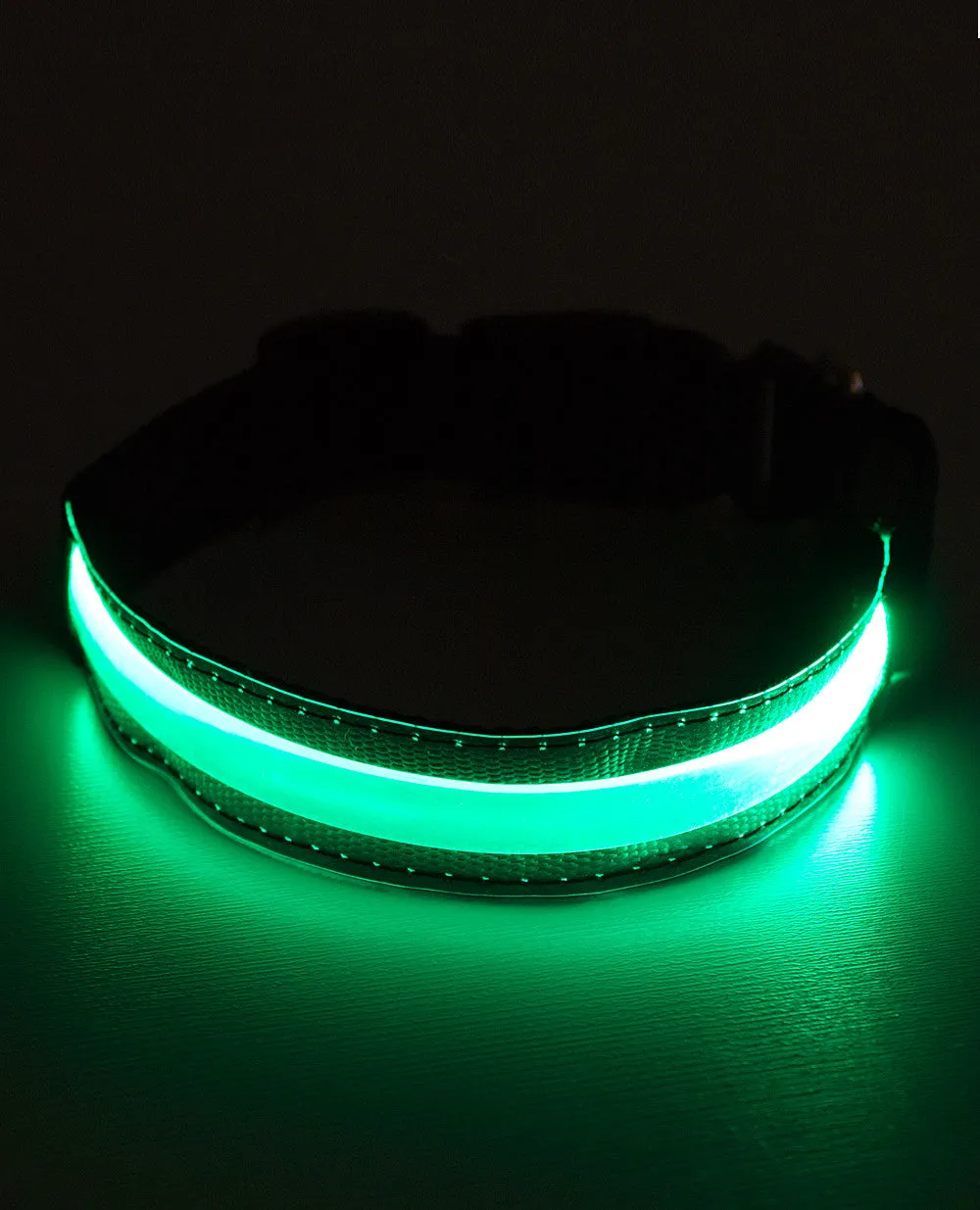 LED COLLAR - FUTURE LOVERS
